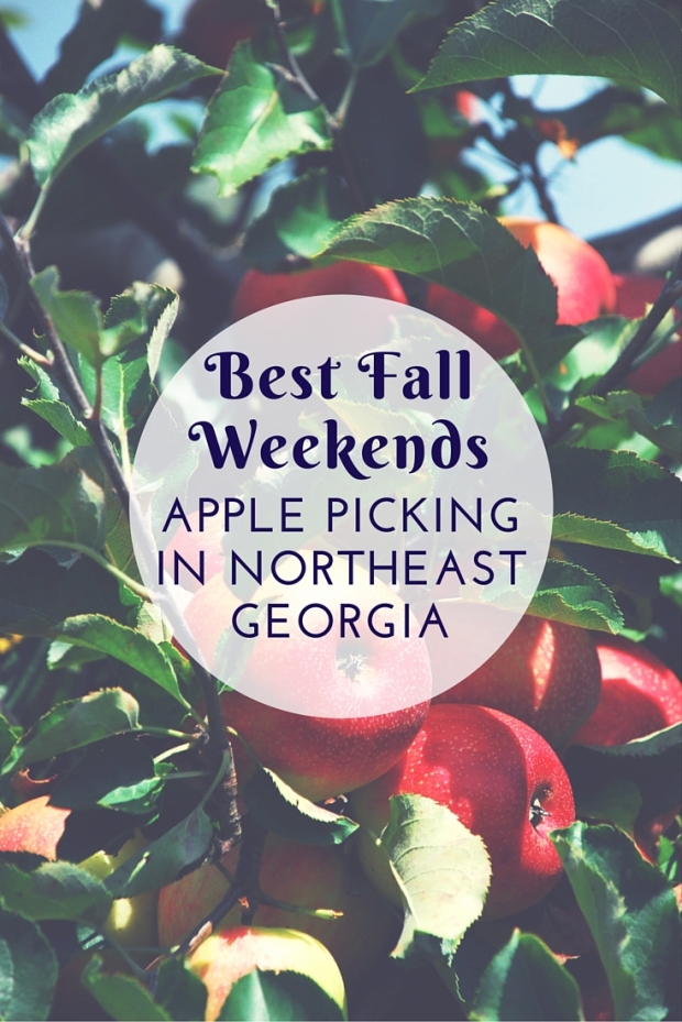 Best Fall Weekends in Georgia: Apple Picking - www.AFriendsAfar.omc