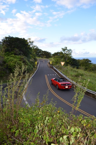 Road to Hana www.afriendafar.com #hawaii #maui #roadtohana